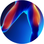 Thigh Support