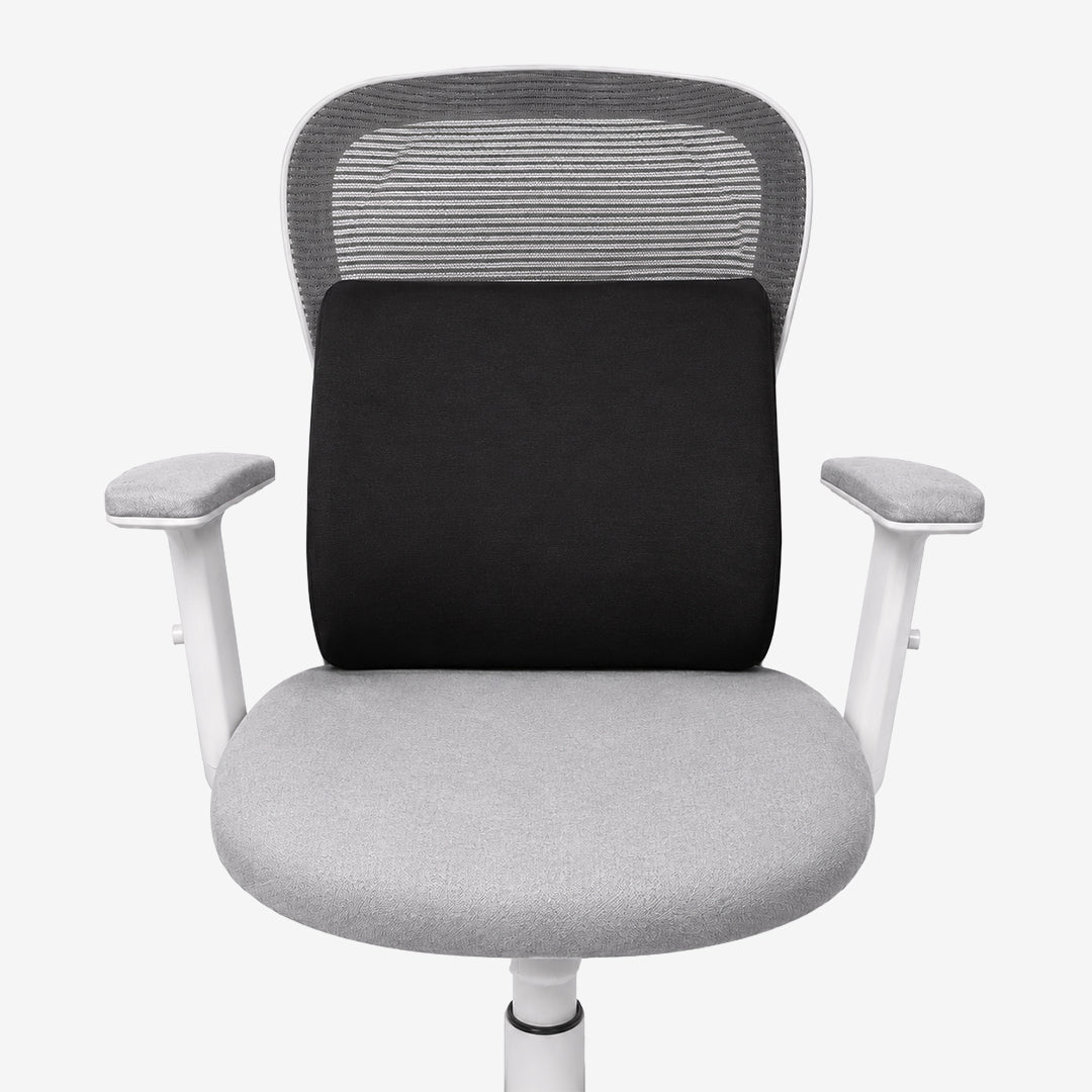 Foam Back Rest (Small)