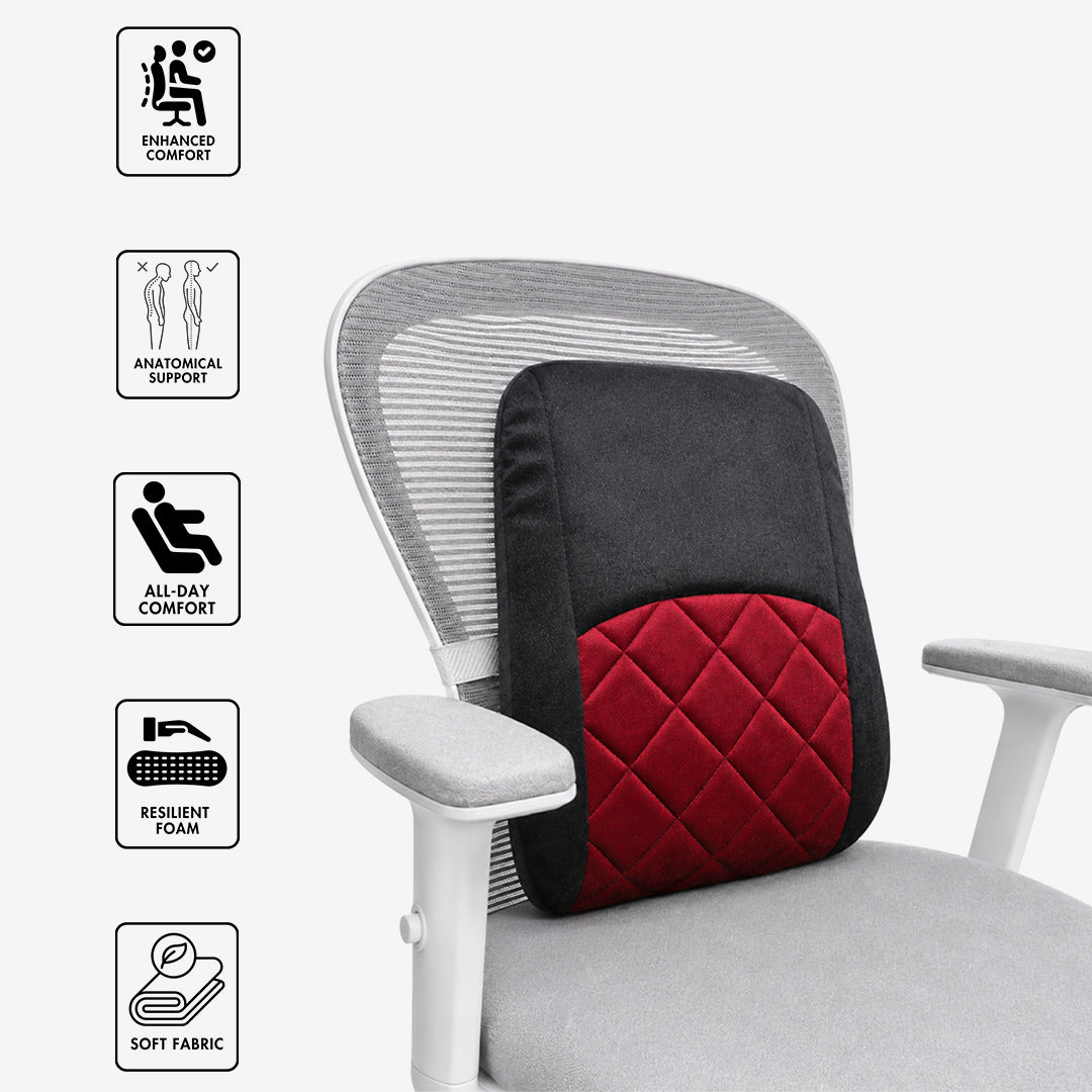 Foam Back Rest (Large)
