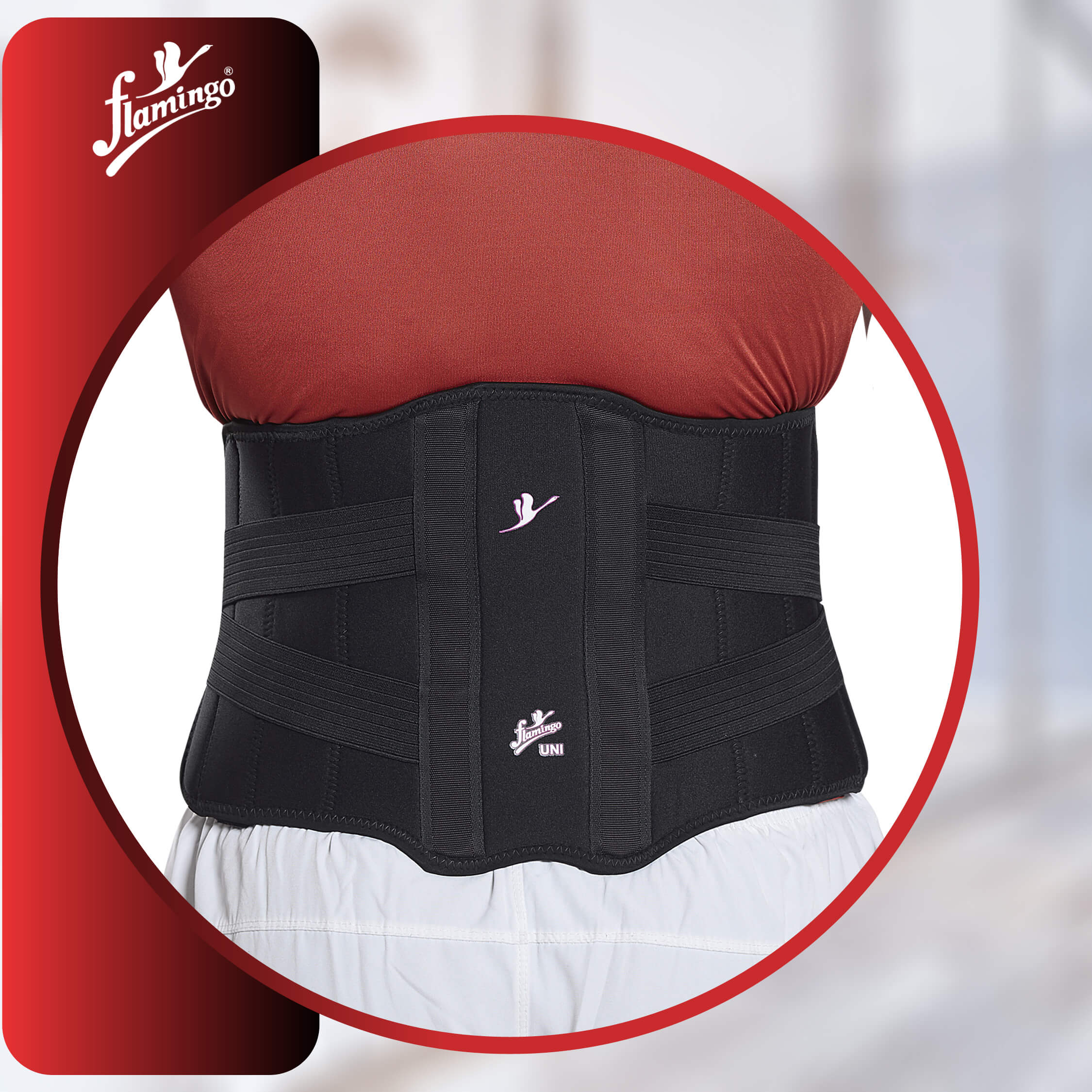Flamingo Adjustable Back Support
Back Support for Lower Back Pain
Lumbar Support Belt
Post-Surgery Back Support
Comfortable Back Stabilizer
Adjustable Back Brace
