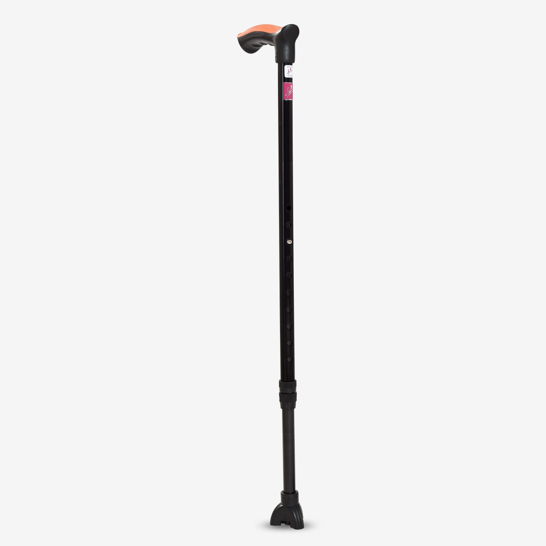 Walking stick with Trileg bottom