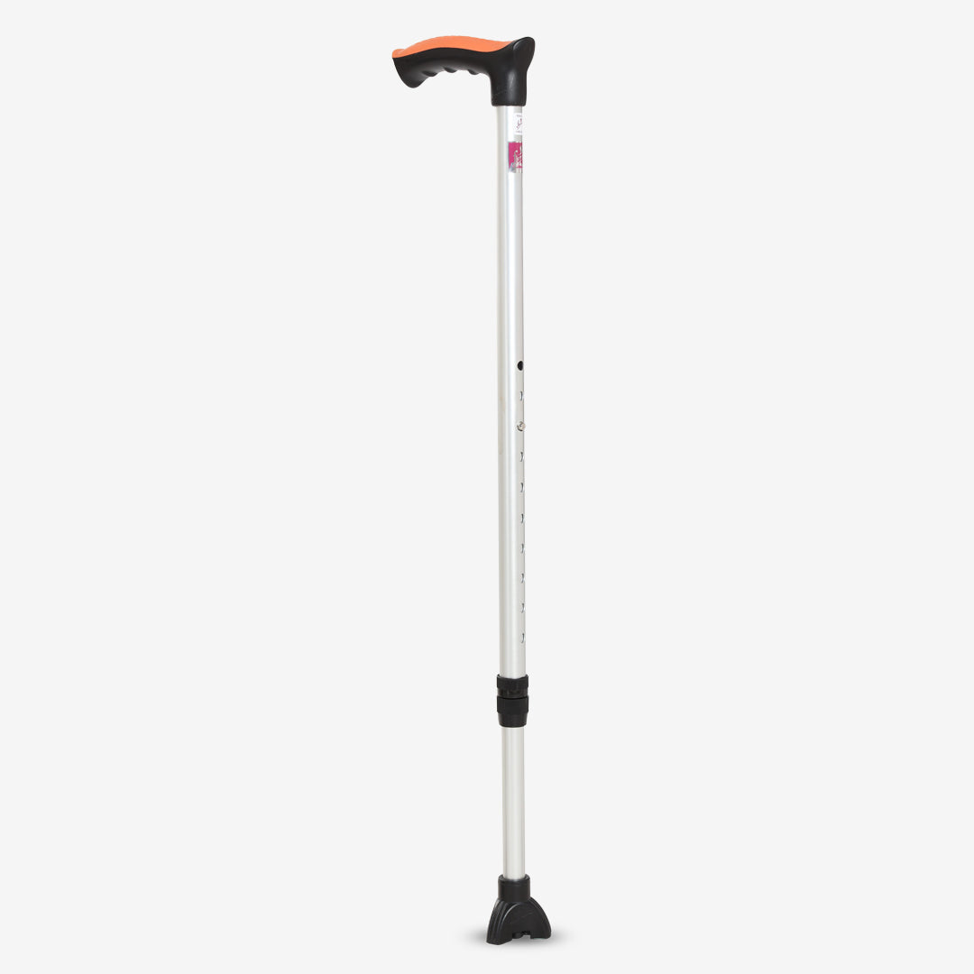 Walking stick with Trileg bottom