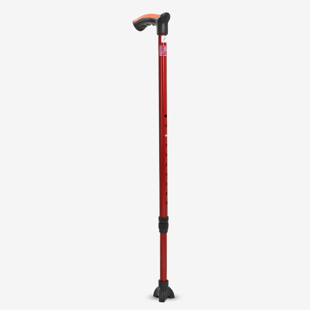 Walking stick with Trileg bottom