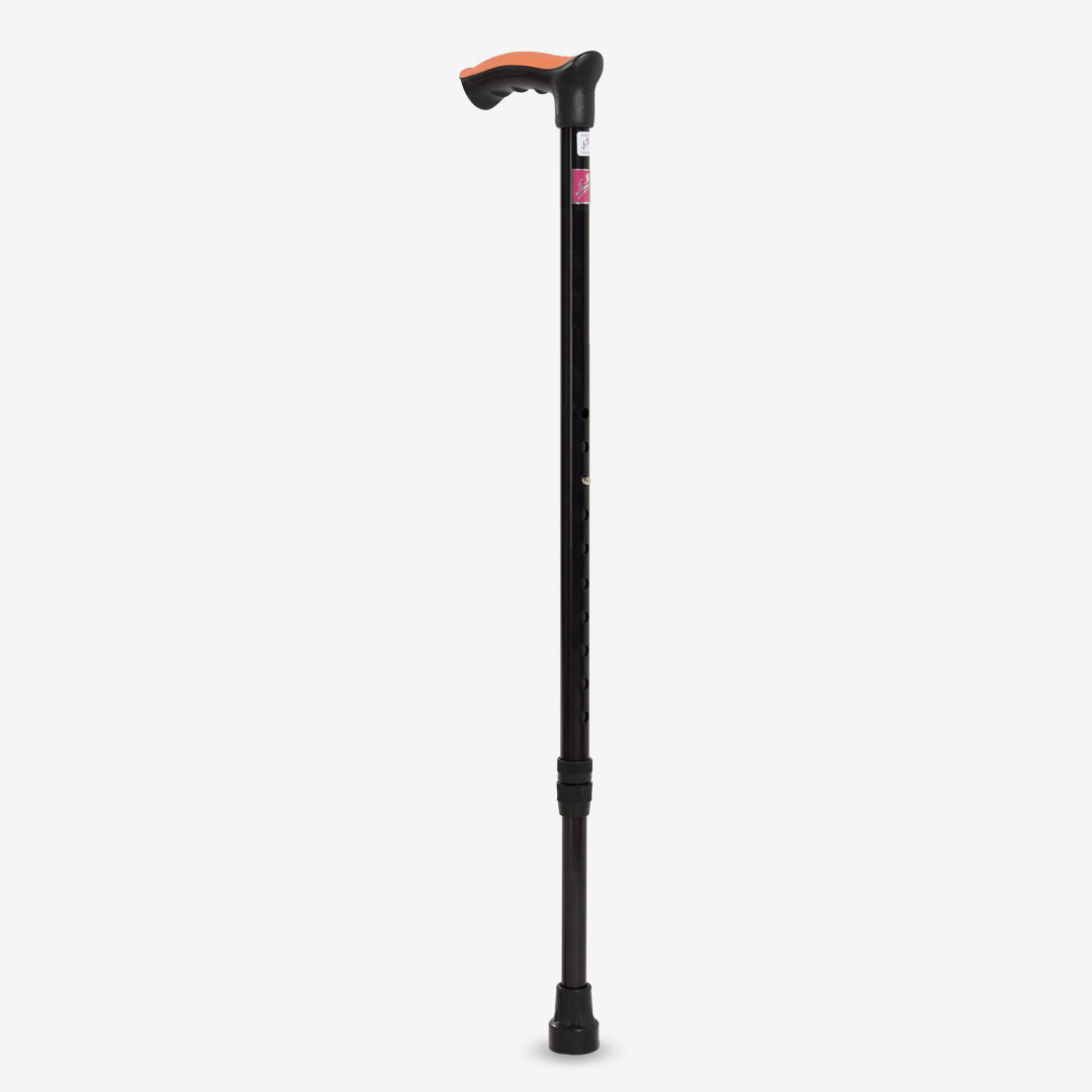 Walking Stick