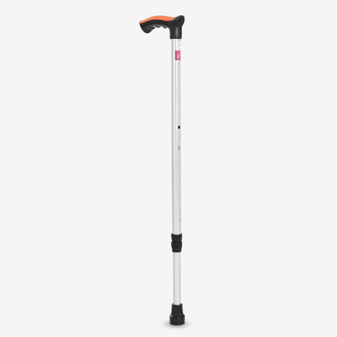 Walking Stick
