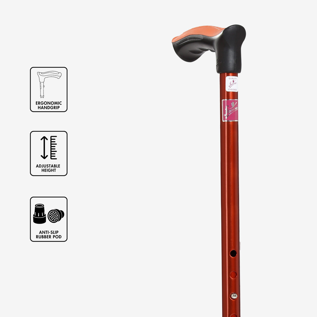 Walking Stick