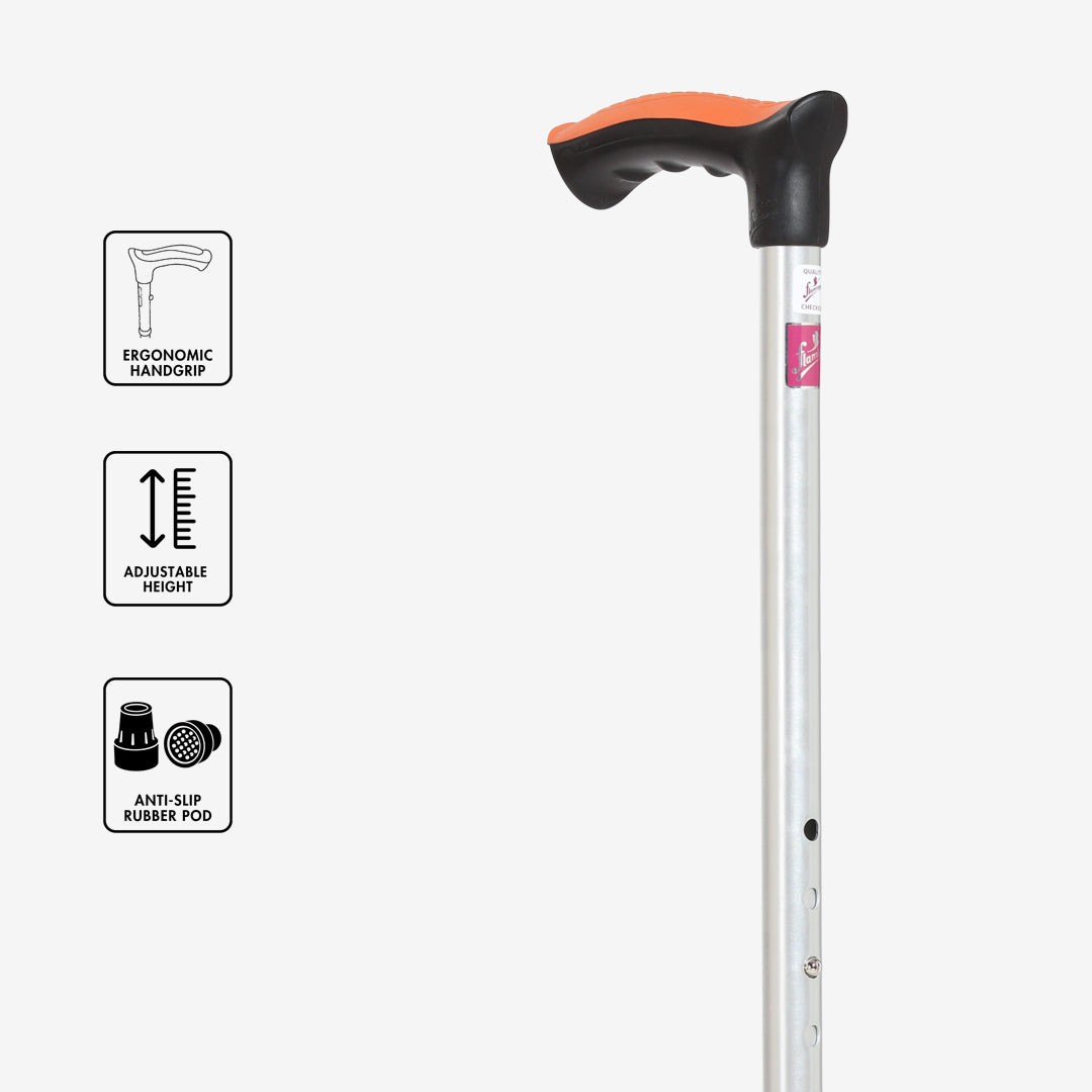 Walking Stick