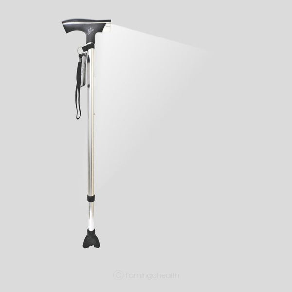 Classic Walking stick with torch