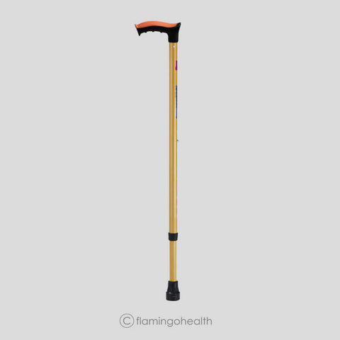 Walking stick