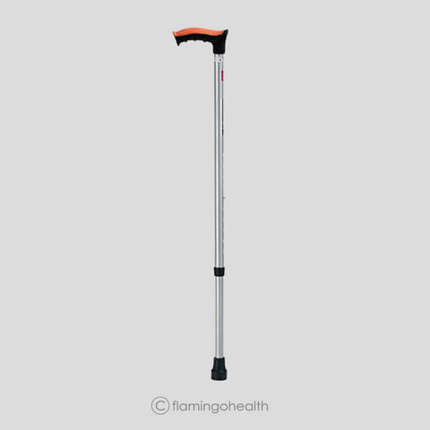 Walking stick