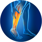 Calf Support