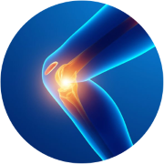 Knee Support