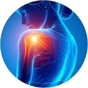 Shoulder Support