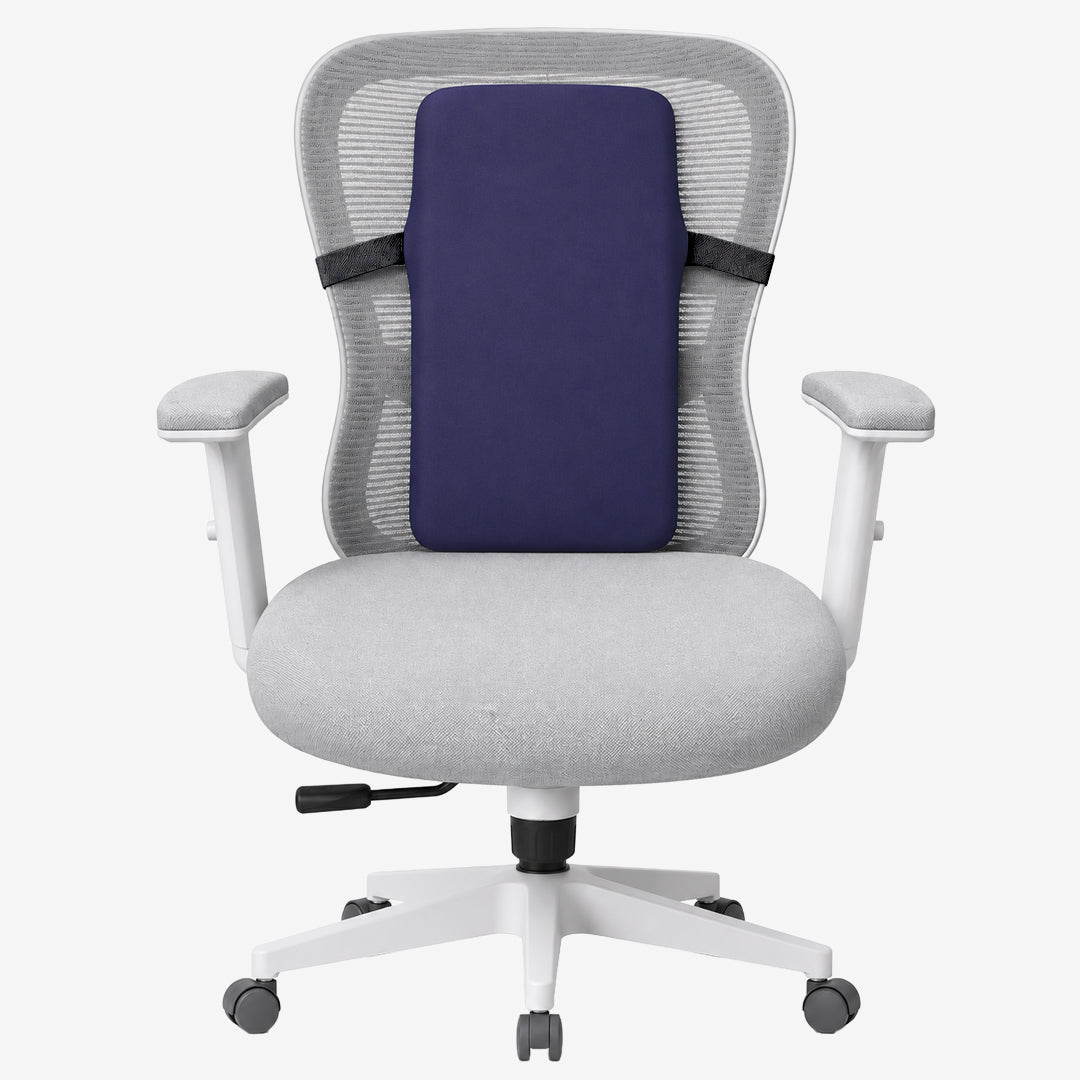 Back Rest - Medium