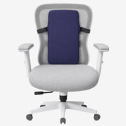 Back Rest - Medium