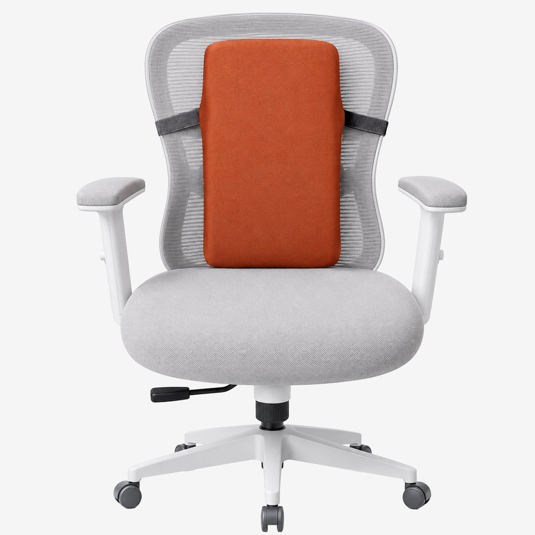 Back Rest - Medium