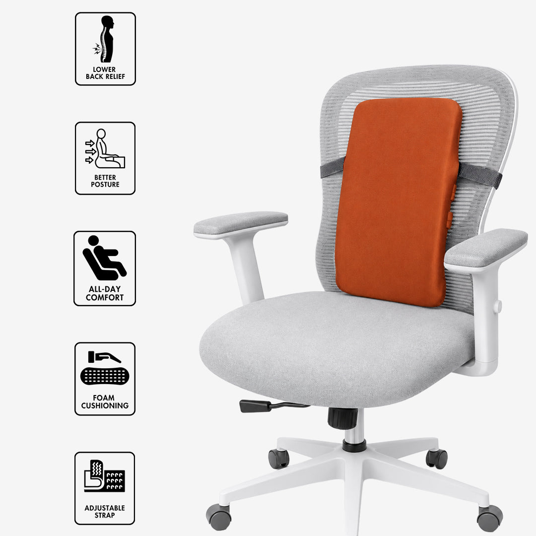 Back Rest - Medium