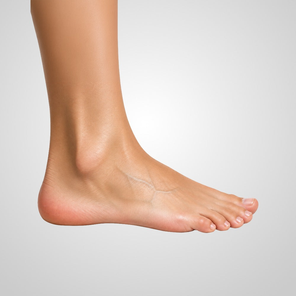 Ankle