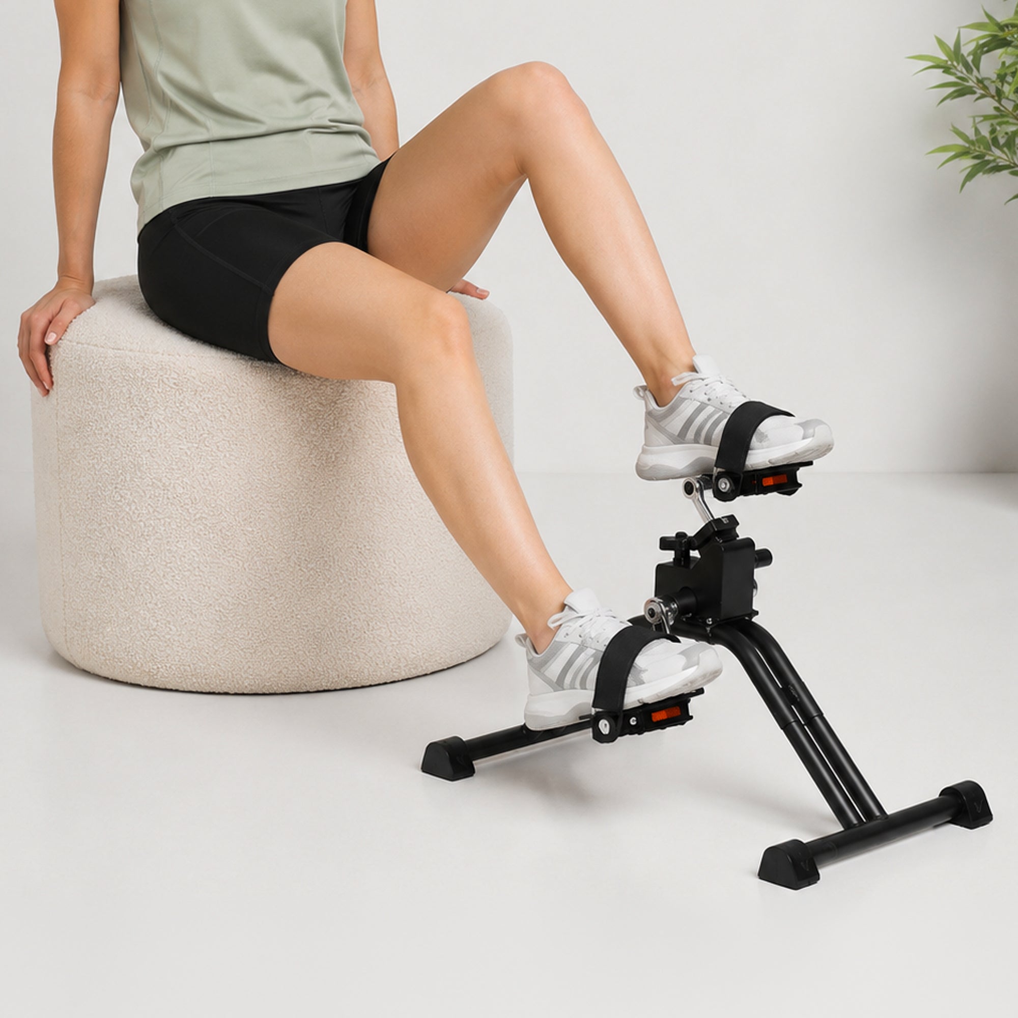 Flamingo Health