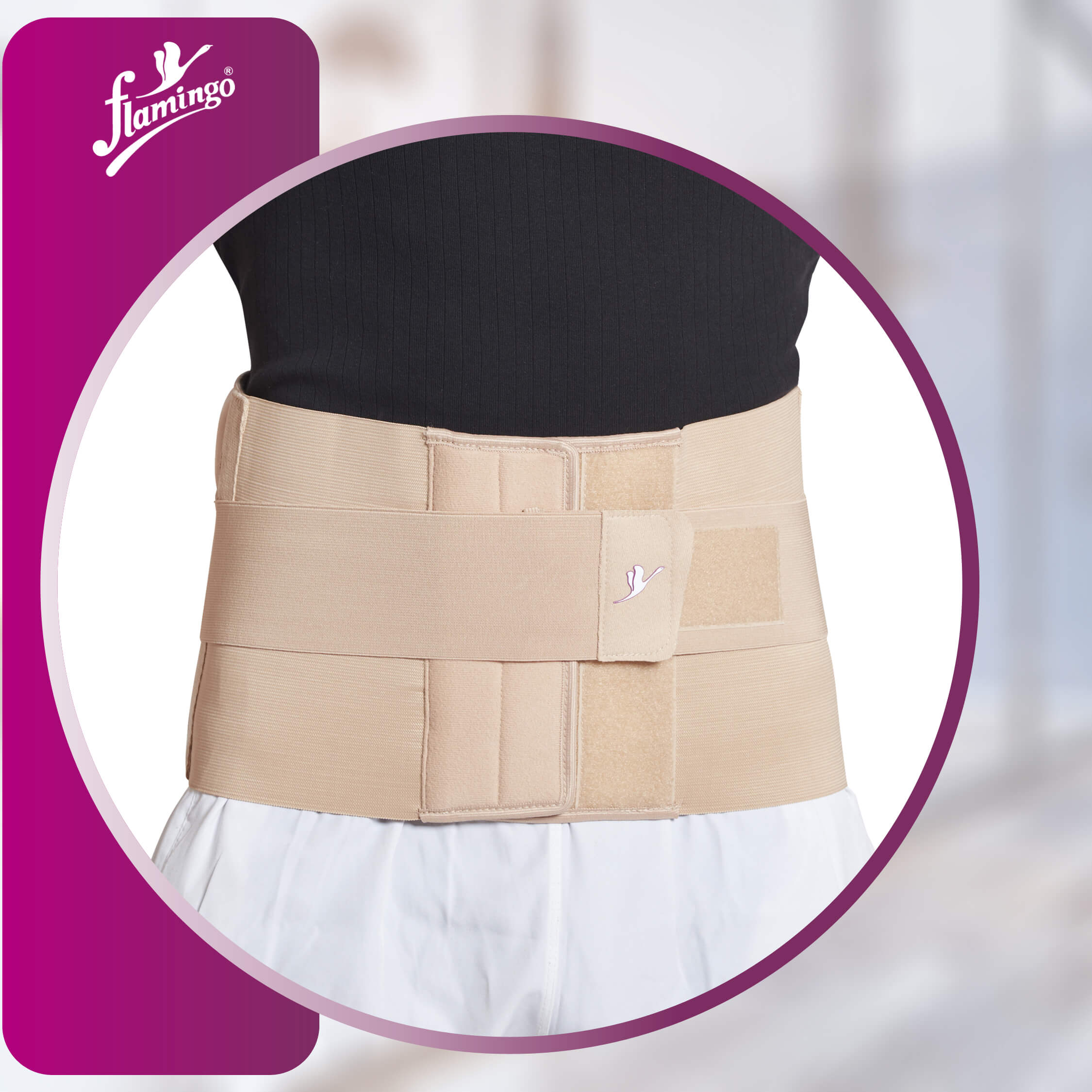 Flamingo Eco Frame Belt
Lumbar Support Belt
Back Pain Raelief Belt
Post-Surgery Support Belt
Firm Back Brace
