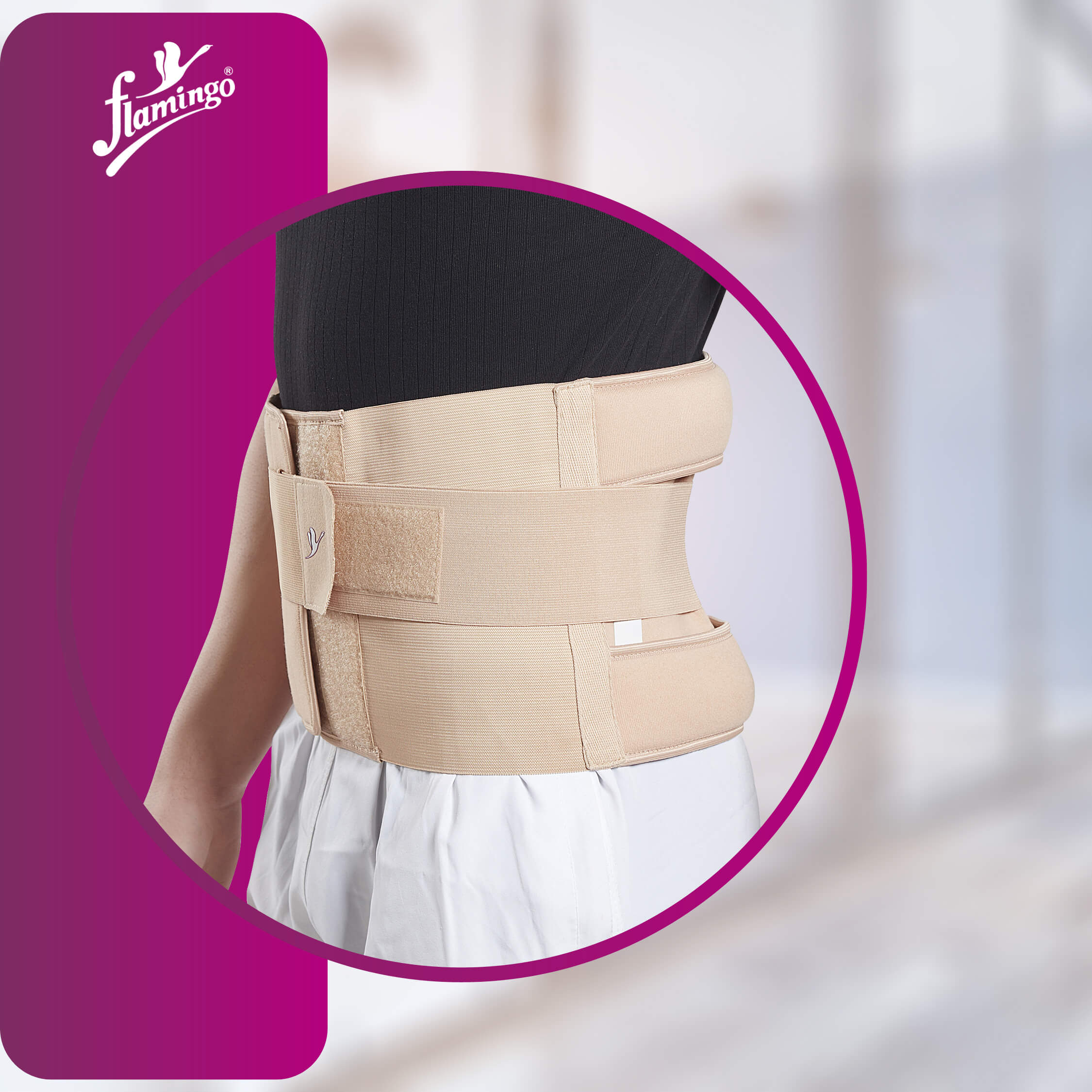 Flamingo Eco Frame Belt
Lumbar Support Belt
Back Pain Raelief Belt
Post-Surgery Support Belt
Firm Back Brace
