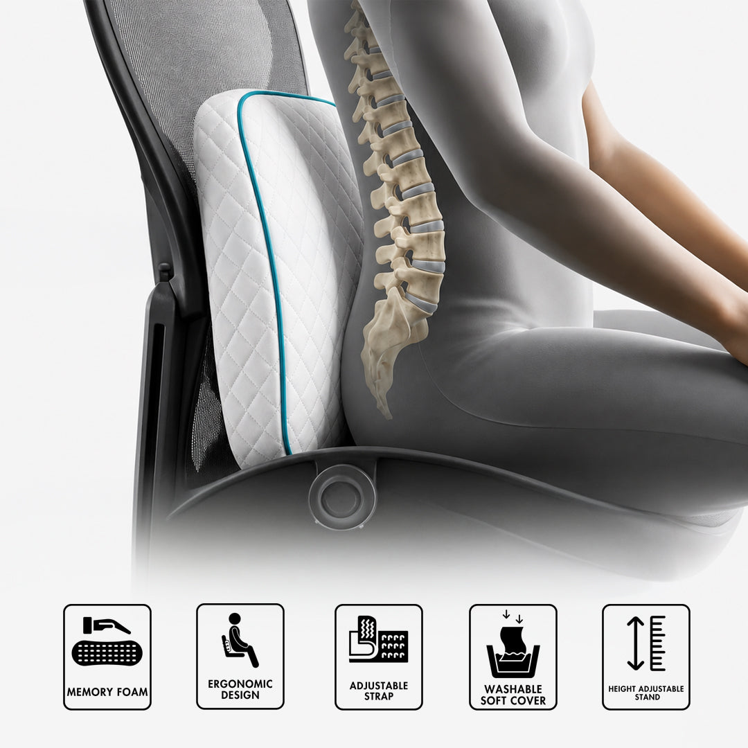 Premium Memory Foam Back Rest (With Height Adjustable Stand)
