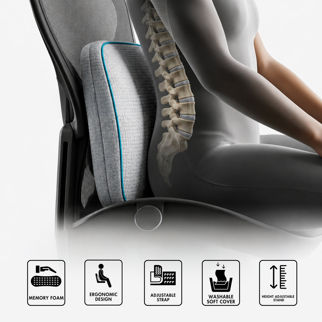 Premium Memory Foam Back Rest (With Height Adjustable Stand)
