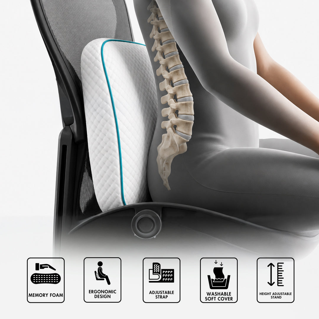 Premium Memory Foam Back Rest (With Height Adjustable Stand)