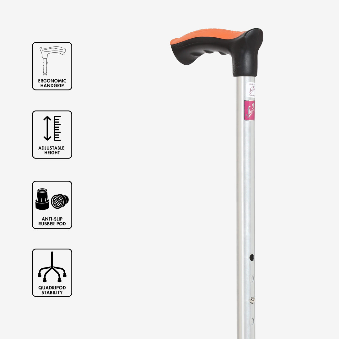 Quadripod Walking Stick