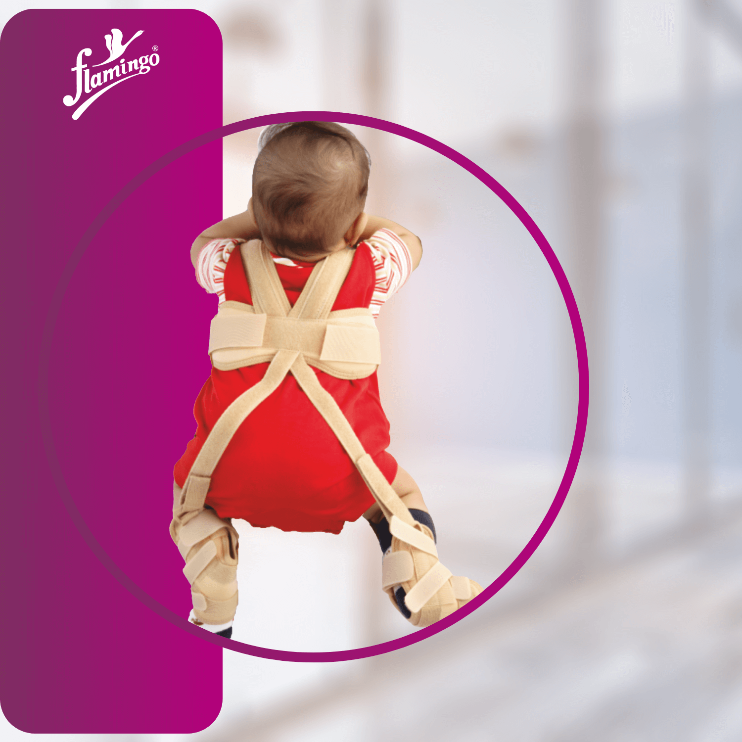 Flamingo Pavlik Harness
Hip Dislocation Treatment Harness
Developmental Dysplasia of Hip Support
Newborn Hip Dislocation Brace
Infant Hip Stabilizer
