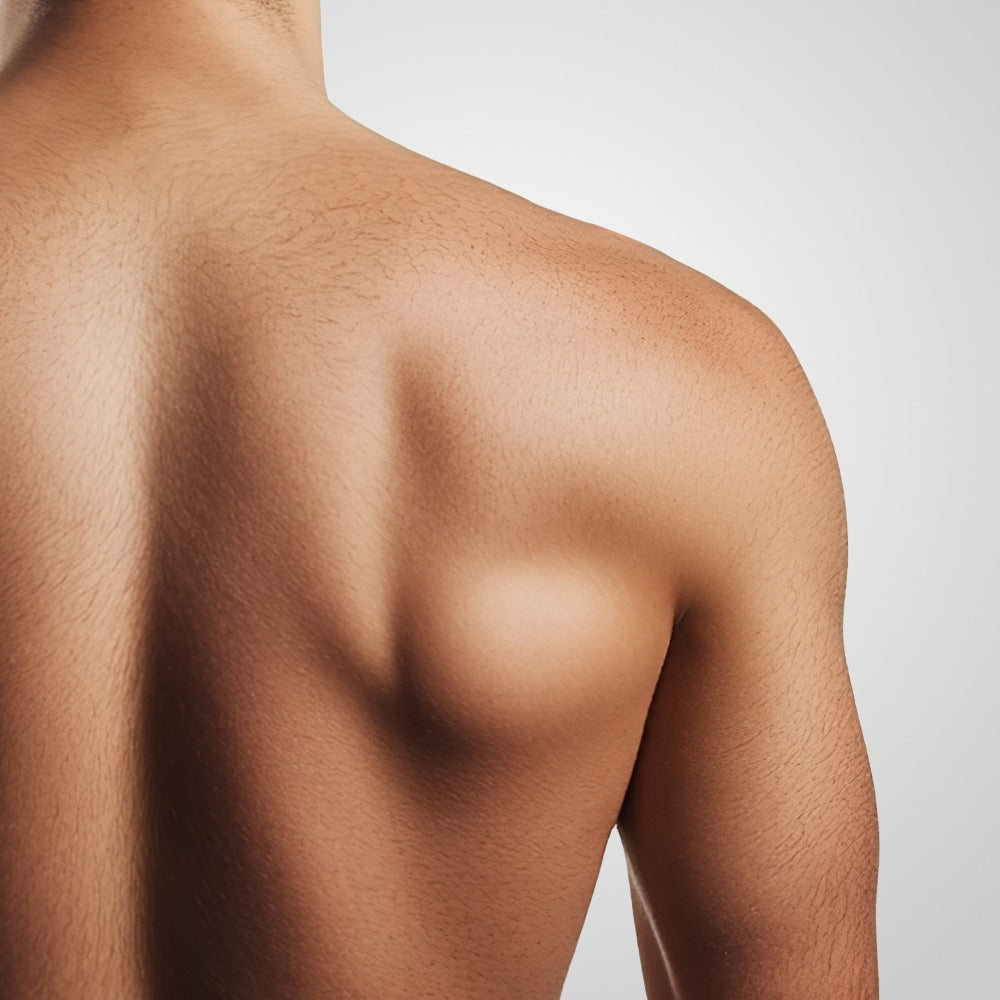Shoulder