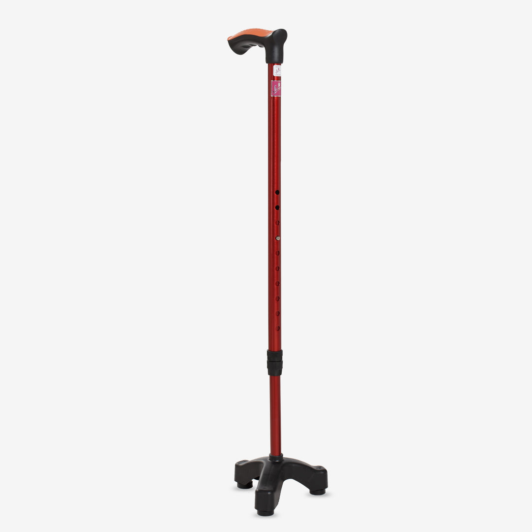 Tripod Walking Stick