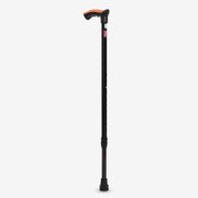 Walking Stick