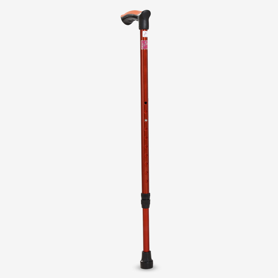 Walking Stick