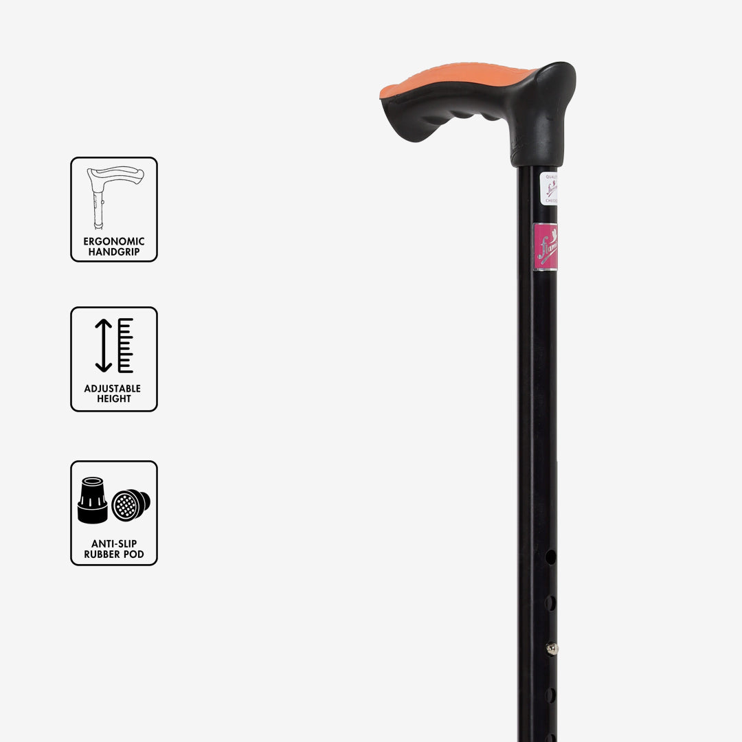 Walking Stick