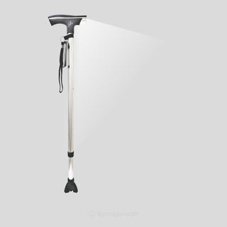 Classic Walking stick with torch