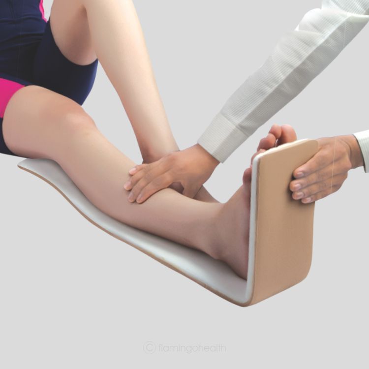 Long Leg Splint Flamingo Health Long leg splint flamingo health