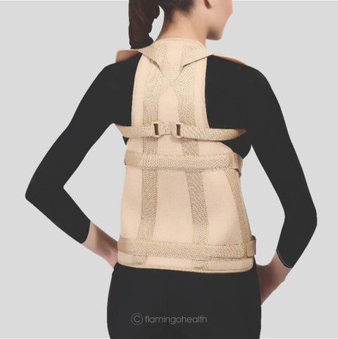 Dorsolumbar Spinal Brace (Taylors Brace)