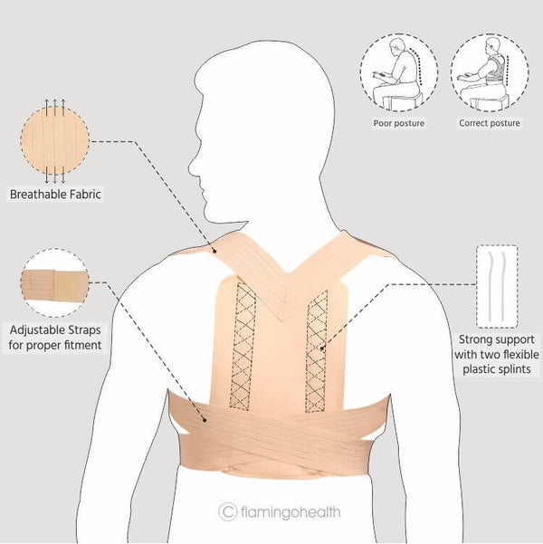 Posture Brace